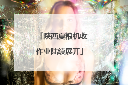 陕西夏粮机收作业陆续展开