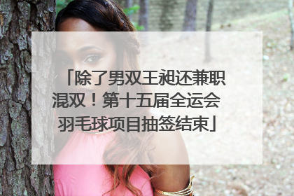 除了男双王昶还兼职混双！第十五届全运会羽毛球项目抽签结束