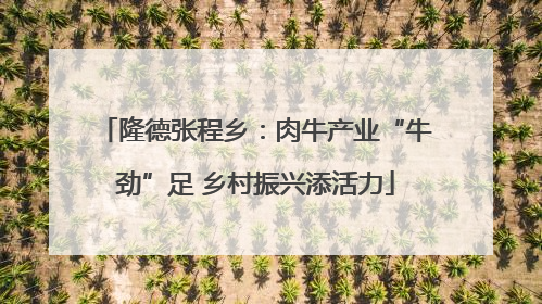 隆德张程乡：肉牛产业“牛劲”足 乡村振兴添活力