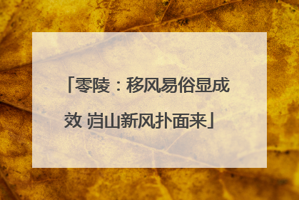 零陵：移风易俗显成效 岿山新风扑面来