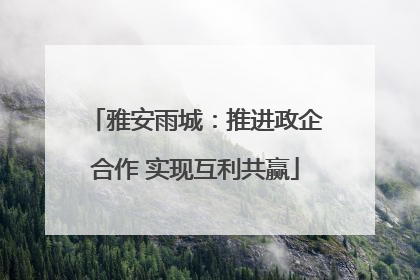 雅安雨城：推进政企合作 实现互利共赢