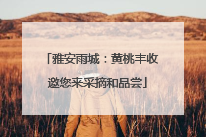 雅安雨城：黄桃丰收 邀您来采摘和品尝