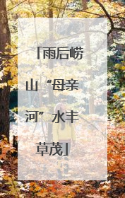 雨后崂山“母亲河”水丰草茂