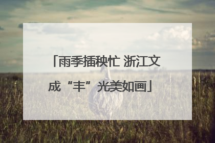 雨季插秧忙 浙江文成“丰”光美如画