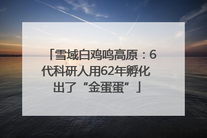 雪域白鸡鸣高原：6代科研人用62年孵化出了“金蛋蛋”