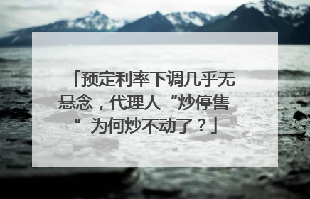 预定利率下调几乎无悬念，代理人“炒停售”为何炒不动了？