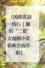 风吹麦浪一线行｜廊坊“三夏”大规模小麦机收全面开始