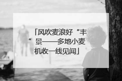 风吹麦浪好“丰”景——多地小麦机收一线见闻