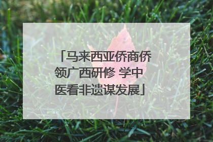 马来西亚侨商侨领广西研修 学中医看非遗谋发展
