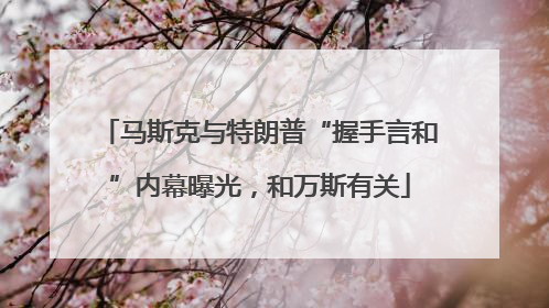 马斯克与特朗普“握手言和”内幕曝光，和万斯有关
