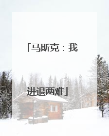 马斯克：我进退两难