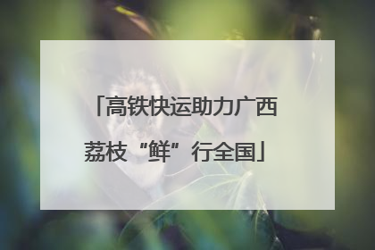 高铁快运助力广西荔枝“鲜”行全国