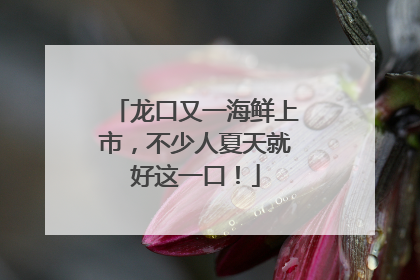 龙口又一海鲜上市，不少人夏天就好这一口！