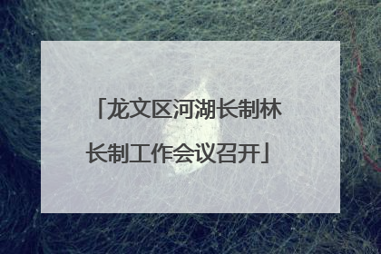 龙文区河湖长制林长制工作会议召开