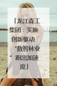 龙江森工集团：实施创新驱动 “数智林业”跑出加速度