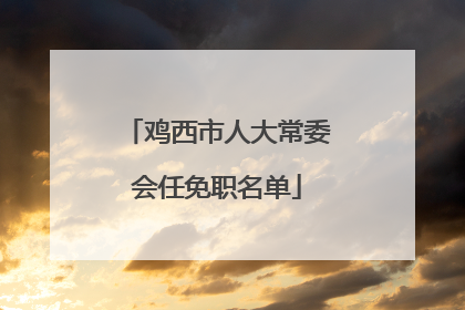 鸡西市人大常委会任免职名单