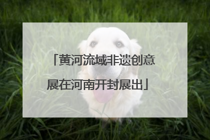 黄河流域非遗创意展在河南开封展出