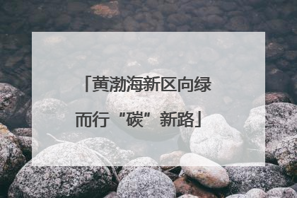 黄渤海新区向绿而行“碳”新路