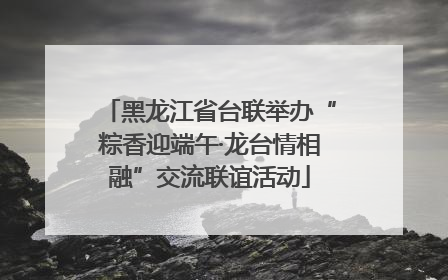 黑龙江省台联举办“粽香迎端午·龙台情相融”交流联谊活动