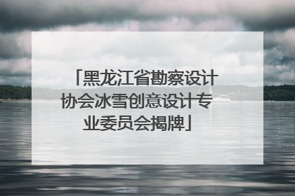 黑龙江省勘察设计协会冰雪创意设计专业委员会揭牌