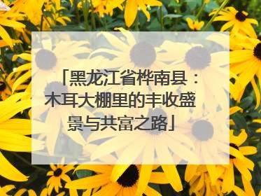 黑龙江省桦南县：木耳大棚里的丰收盛景与共富之路