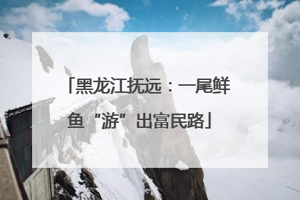 黑龙江抚远：一尾鲜鱼“游”出富民路