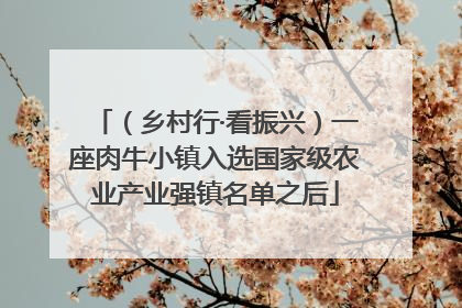 （乡村行·看振兴）一座肉牛小镇入选国家级农业产业强镇名单之后