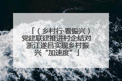 （乡村行·看振兴）党建联建推进村企结对 浙江遂昌实现乡村振兴“加速度”