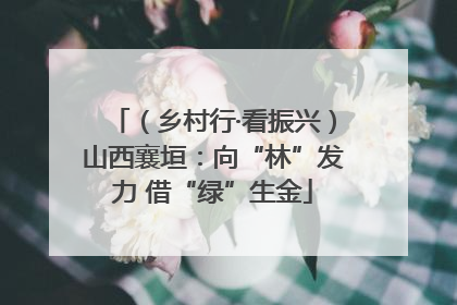 （乡村行·看振兴）山西襄垣：向“林”发力 借“绿”生金
