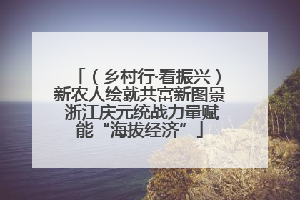 （乡村行·看振兴）新农人绘就共富新图景 浙江庆元统战力量赋能“海拔经济”