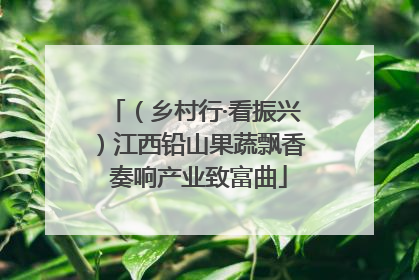 （乡村行·看振兴）江西铅山果蔬飘香 奏响产业致富曲