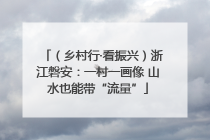 （乡村行·看振兴）浙江磐安：一村一画像 山水也能带“流量”