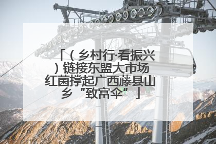 （乡村行·看振兴）链接东盟大市场 红菌撑起广西藤县山乡“致富伞”