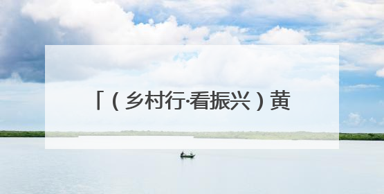（乡村行·看振兴）黄山屯溪：昔日河滩荒地变身“网红打卡地”