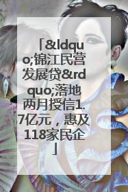 “锦江民营发展贷”落地两月授信1.7亿元，惠及118家民企
