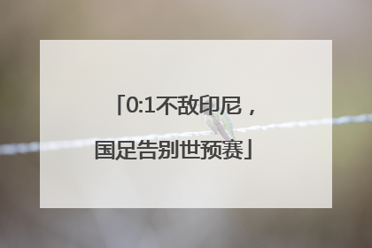 0:1不敌印尼，国足告别世预赛