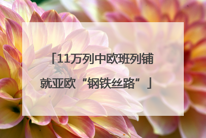 11万列中欧班列铺就亚欧“钢铁丝路”