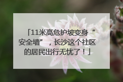 11米高危护坡变身“安全墙”，长沙这个社区的居民出行无忧了！