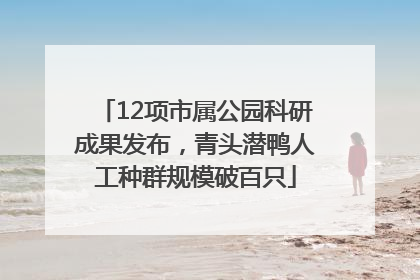 12项市属公园科研成果发布，青头潜鸭人工种群规模破百只