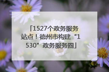 1527个政务服务站点！德州市构建“1530”政务服务圈
