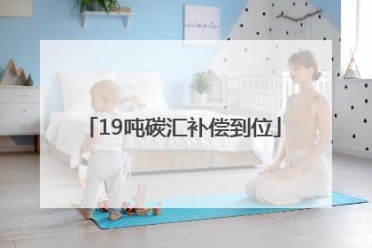 19吨碳汇补偿到位