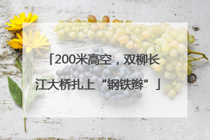200米高空，双柳长江大桥扎上“钢铁辫”