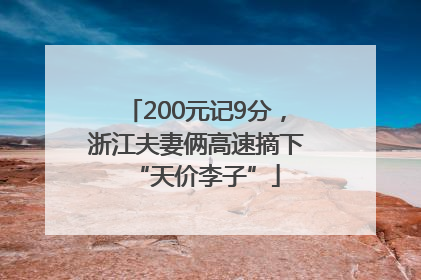 200元记9分，浙江夫妻俩高速摘下“天价李子”