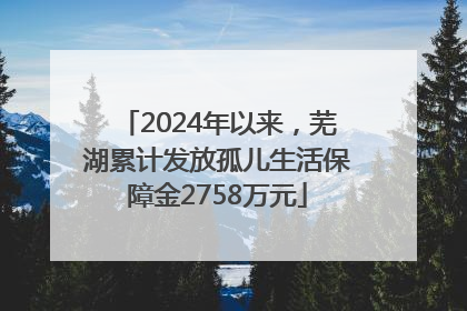 2024年以来，芜湖累计发放孤儿生活保障金2758万元