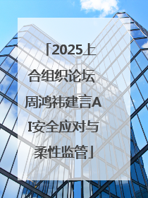 2025上合组织论坛 周鸿祎建言AI安全应对与柔性监管
