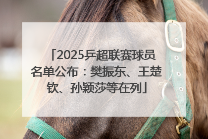 2025乒超联赛球员名单公布：樊振东、王楚钦、孙颖莎等在列