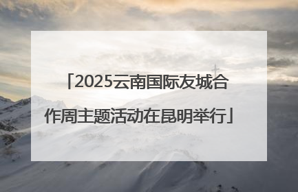 2025云南国际友城合作周主题活动在昆明举行