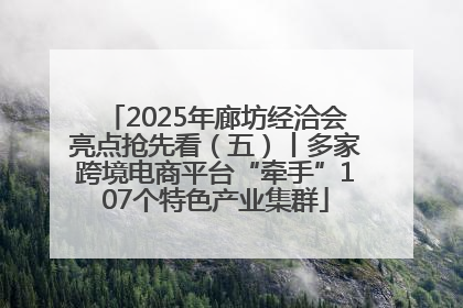 2025年廊坊经洽会亮点抢先看（五）丨多家跨境电商平台“牵手”107个特色产业集群