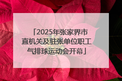 2025年张家界市直机关及驻张单位职工气排球运动会开幕