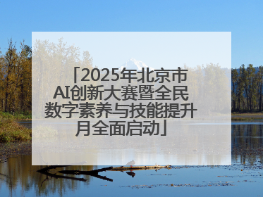 2025年北京市AI创新大赛暨全民数字素养与技能提升月全面启动